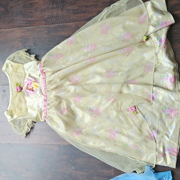 Blue and Gold Princess Dresses - Picture 3 of 7